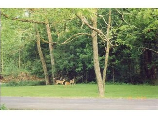 13939 Lower Grants Creek Rd, Rising Sun, IN 47040