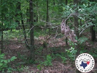 out of Area, Ooa-Ar, AR 71861