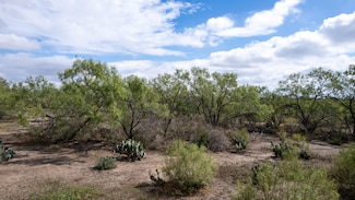 0 Bush Rd, Bigfoot, TX 78005