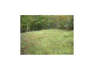 0 Red Lick Rd Unit M236168, Roanoke, WV 26447