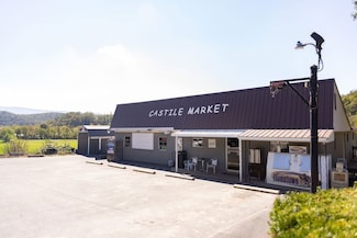 4200 Potts Creek Rd, Covington, VA 24426