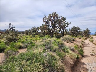 26135 N Pear Ave, Meadview, AZ 86444