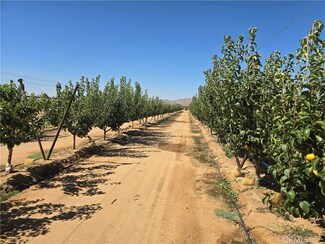 24055 Ottawa Rd, Apple Valley, CA 92307