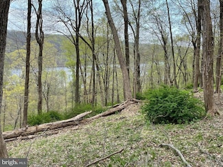 421 River Rd, Pipersville, PA 18947