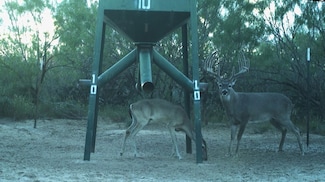 Tx-16, Hebbronville, TX 78361