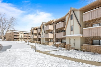 16 Echo Ct Unit 17, Vernon Hills, IL 60061