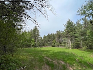 0 120th Street St Unit 6464858, Chippewa Falls, WI 54729