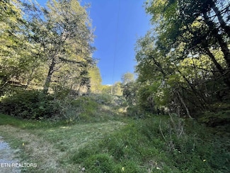 0 Little Sycamore Rd, Tazewell, TN 37879