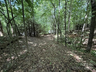 25 Fairview Pointe Dr, Fairview, NC 28730