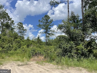 633 Sam's Trail, Hortense, GA 31543