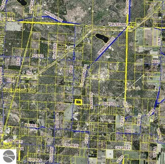 13ACRES Lindroos Rd, Kaleva, MI 49645