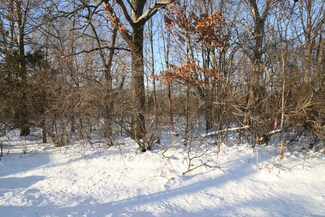 Parcel 3 Old Allegan Rd, Saugatuck, MI 49453