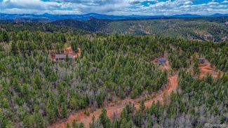 1218 Calcite Dr Unit 69, Midland, CO 80814