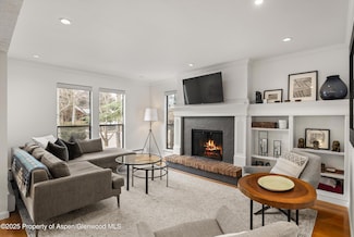 980 E Hyman Ave Unit 3, Aspen, CO 81611