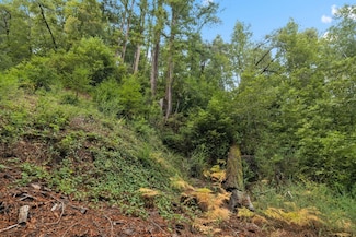 0 Hillside Dr, Boulder Creek, CA 95006