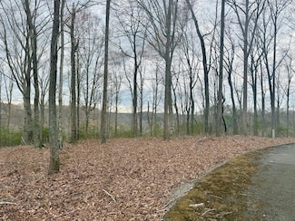 Lot Paradise Alley, Russell Springs, KY 42642