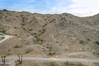 4313 W Ceton Dr, Laveen, AZ 85339