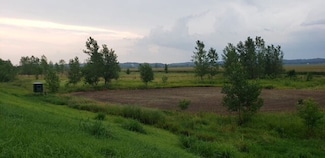 0 Chandlerville Rd, Chandlerville, IL 62627