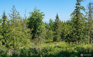 0 Little Loop Dr, Port Angeles, WA 98362