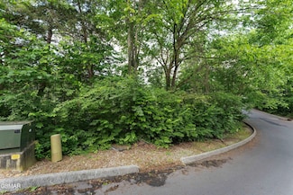 Lot 115 Alpine Mountain Way, Pigeon Forge, TN 37863
