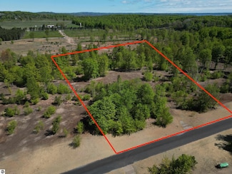 1087 E Solaris Way, Maple City, MI 49664