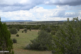 64550 N Flaming Star Dr Unit 385, Seligman, AZ 86337