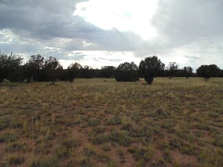 223 N Shadow Ln, Seligman, AZ 86337