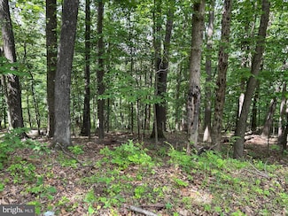 0 Ehlers Dr, Shenandoah Farms, VA 22630