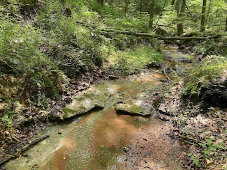 1 Montgomery Ln, Savannah, TN 38372