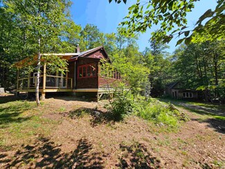 154 Reed Rd, Chester, VT 05143
