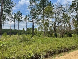 0 Gooch Rd (Lot G) R Rozier (Lot H), Eastman, GA 31023