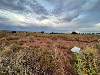 0 N Peach Blossom Ln Unit 247681, Snowflake, AZ 85937