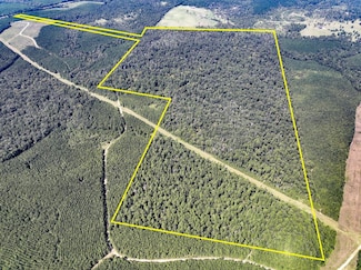 0 Highway 59 Bypass Unit 22715513, Livingston, TX 77351
