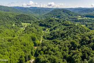 000 Garland Rd, Roan Mountain, TN 37687