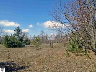 000 King Road Lot G Unit G, Thompsonville, MI 49683