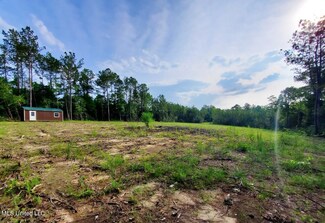 0 Sampras Blvd Unit 4020218, Vancleave, MS 39565