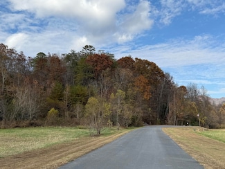 0 Bear Track Way Unit 709747, Del Rio, TN 37727