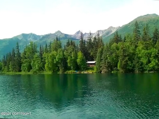 L 11 Birch Island Chilkat Lake, Haines, AK 99827
