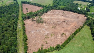 County Road 616, Ranburne, AL 36273
