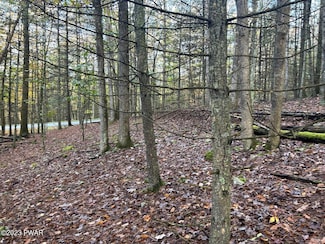 Lot 3 Cedar Ridge Rd, Hawley, PA 18428