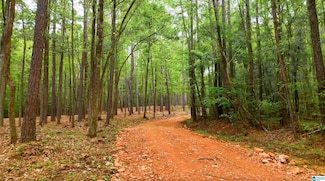 789 Magnolia Ln Unit 2, Leeds, AL 35147