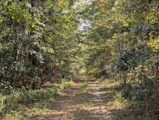 0 Range Rd Unit 11598132, Vredenburgh, AL 36481