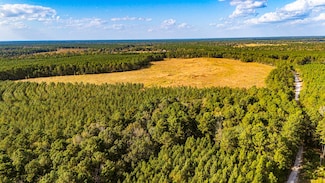 878 Joe Hudson Rd, Trinity, TX 75862
