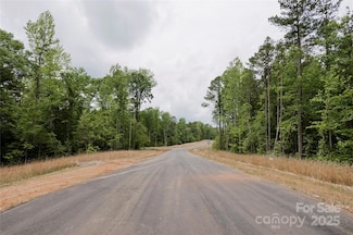 Lot 14 American Bittern Path, Clover, SC 29710