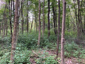 0 Towne Rd, Pulaski, NY 13142