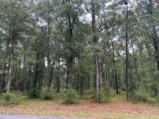 0 Shaw Rd, Gulfport, MS 39503