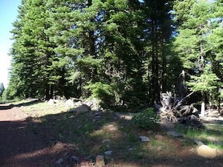 0 Mahogany Dr, Alturas, CA 96101