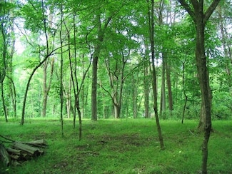 1919 Chelaque Way E, Mooresburg, TN 37811