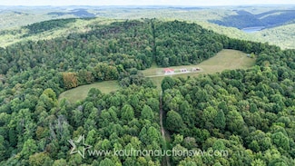 882 Narrows Rd, Philippi, WV 26416