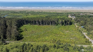 2 Dolphin Ln, Copalis Beach, WA 98535